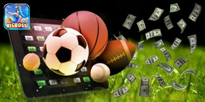 Trải nghiệm người dùng tuyệt vời ở Bigboss