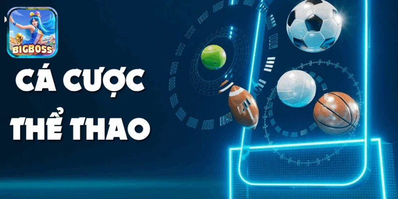 Ứng dụng thể thao đa thiết bị tiện lợi.